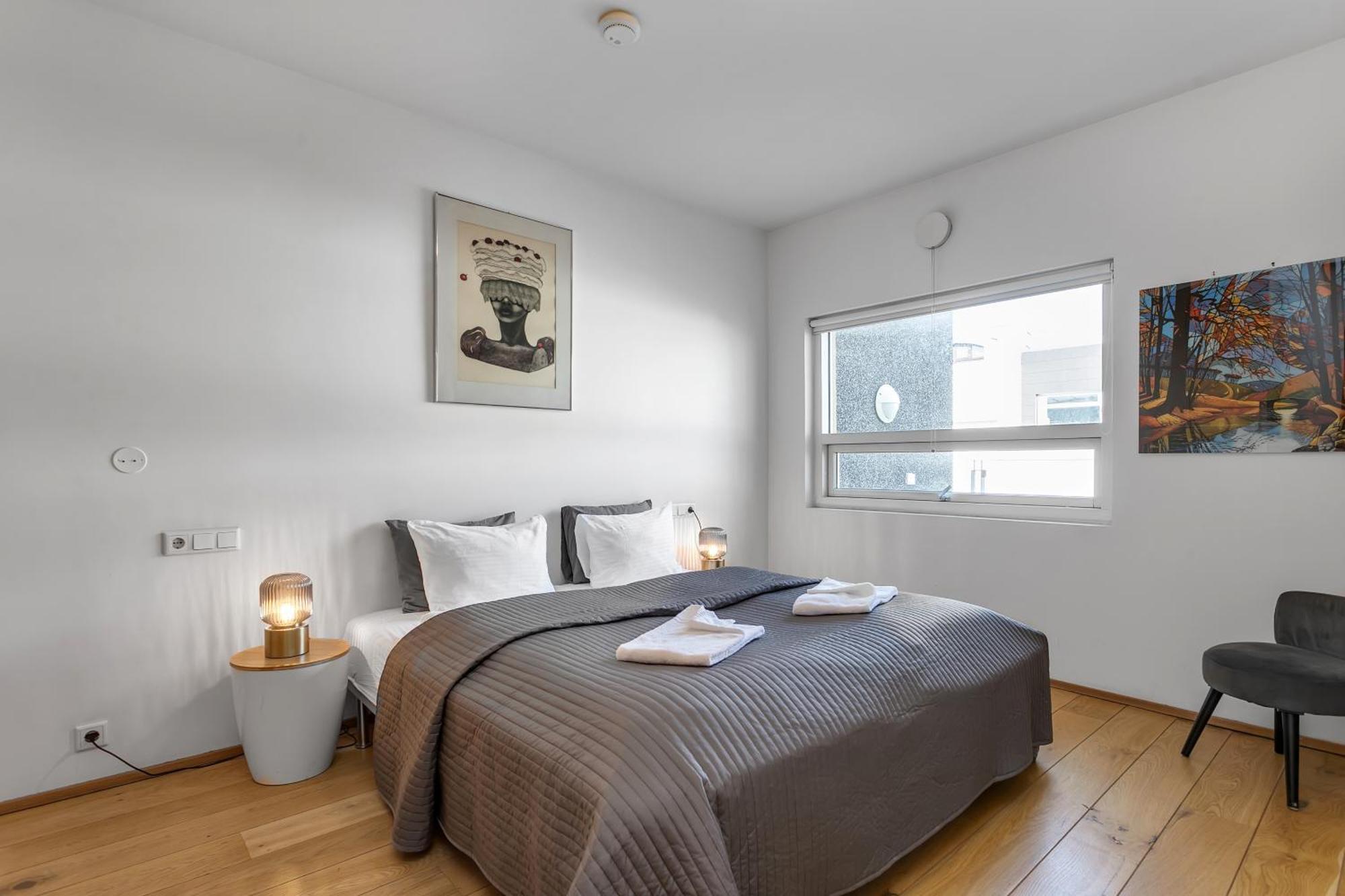 Baldursbrá Apartment Laugarvegur Reykjavík Kültér fotó